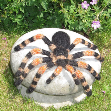 My Pet Tarantula