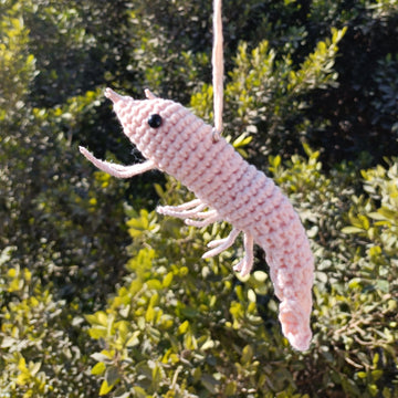 Crochet Shrimp