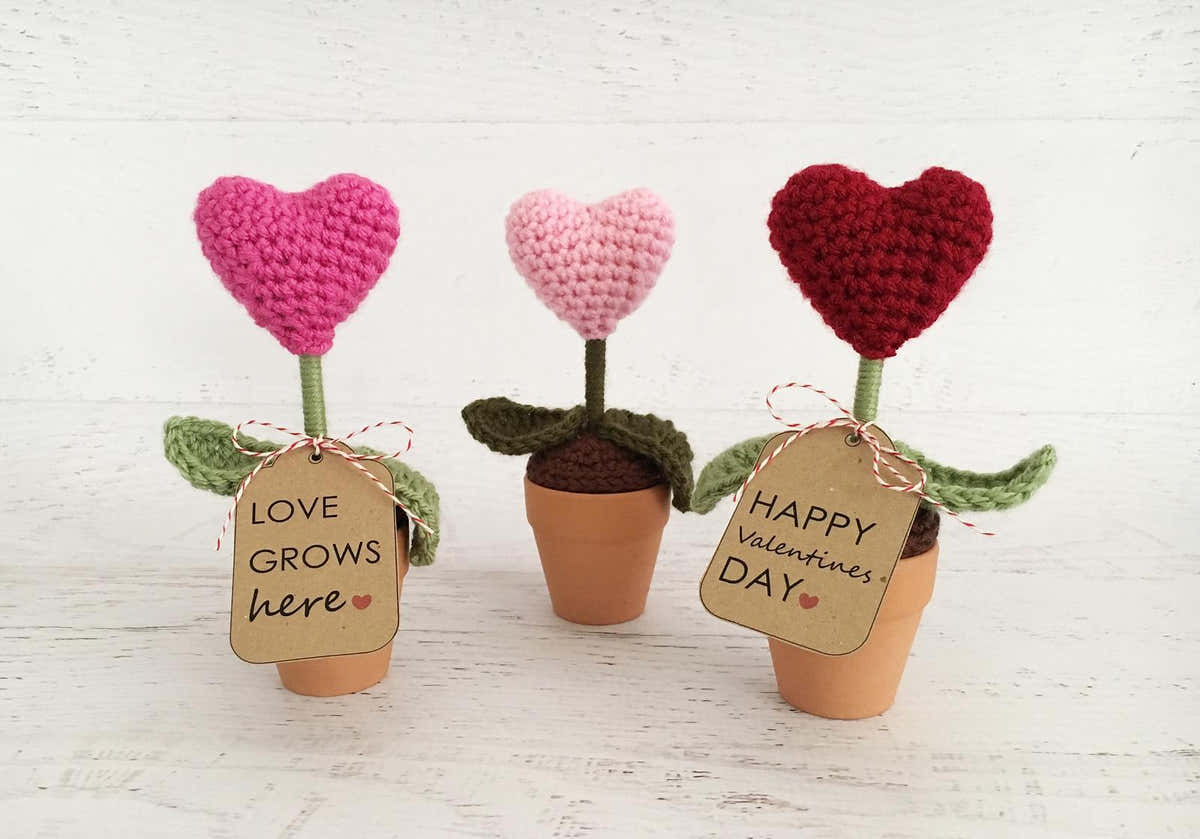Heart Plant