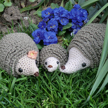 Hedgehog family amigurumi
