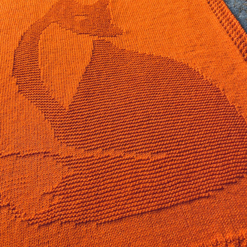 Fox Picture Blanket