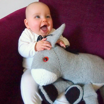 Duncan the Donkey