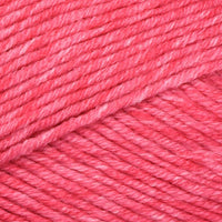 Bermuda Shorts (101)