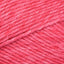Bermuda Shorts (101)