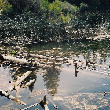 Turtle Lake