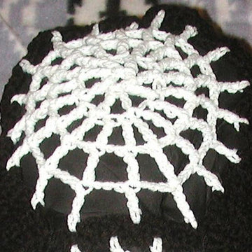 Spider Web Scoodie