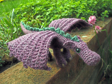 Fierce Little Dragon