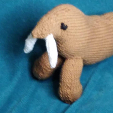 Knitted Walrus