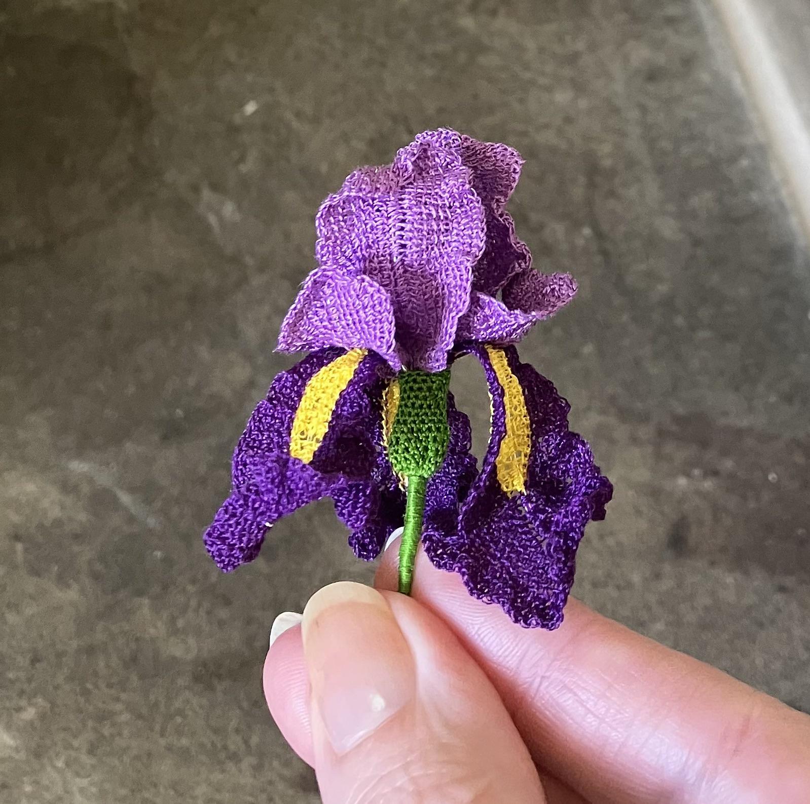 Iris flower