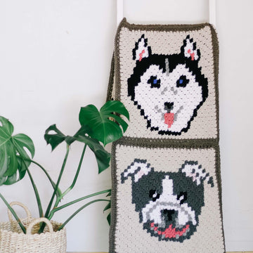 C2C Husky / Malamute Dog Blanket Square