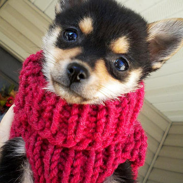 Warm Puppy Sweater