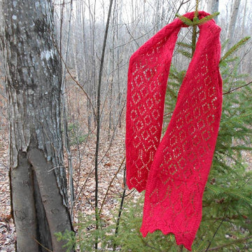 Cranberry Sauce Lace Scarf