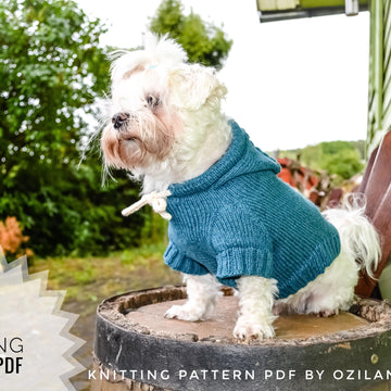 Sport hoodie clothes for dog