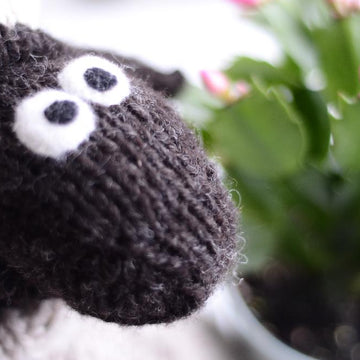 Wee Blackfaced Sheep