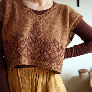 Pavuk vest