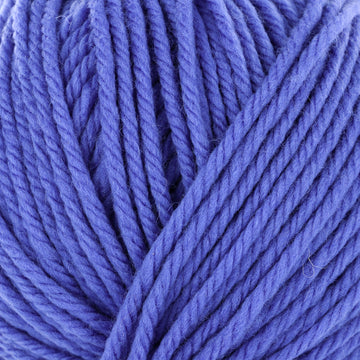 20009463_purplishblue_919