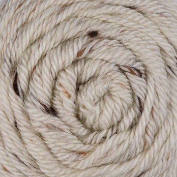 Caron Simply Soft Tweeds