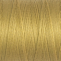 Golden Yellow (893)