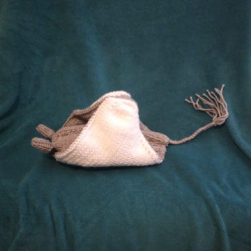 Stingray (Manta Ray)