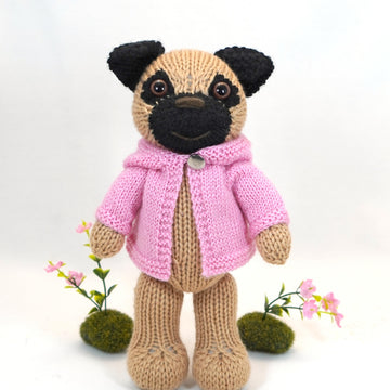 Pug with Anorak