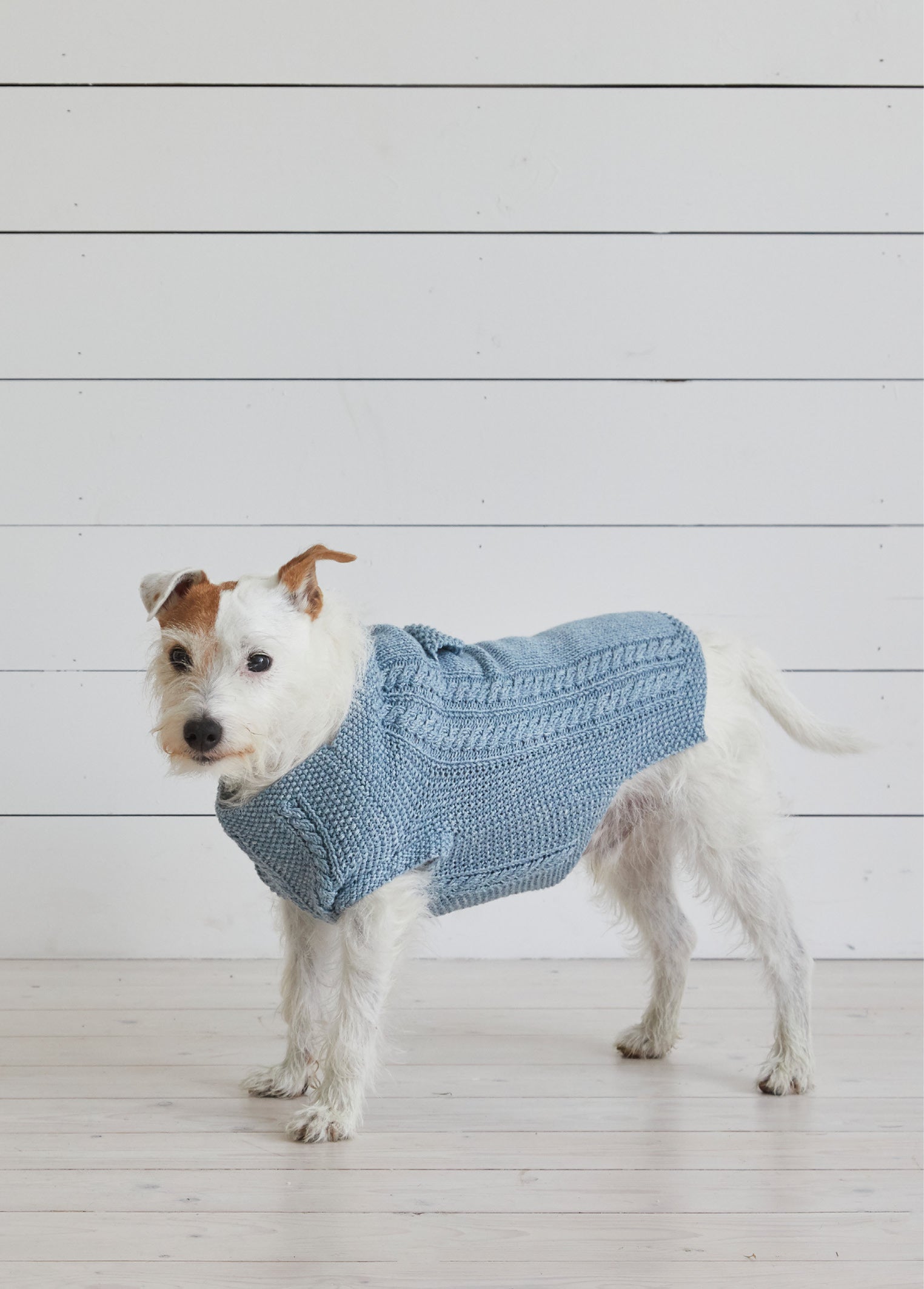 Denim Coat - Dog Jumper Knitting Pattern For Pets in Debbie Bliss Cotton Denim DK by Debbie Bliss