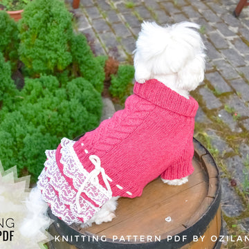 Lace cherry dress for dog