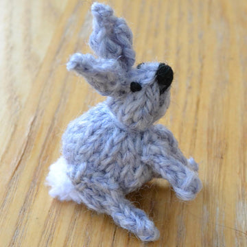 Easter Bunny Rabbit