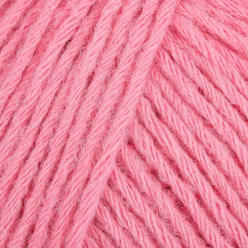 Fuchsia (016)