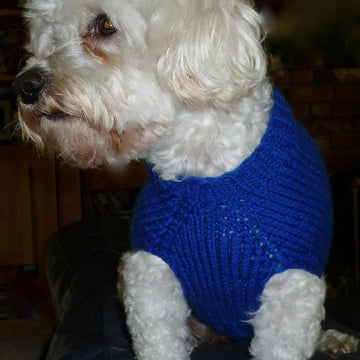 Neckdown Custom-Fit Dog Sweater
