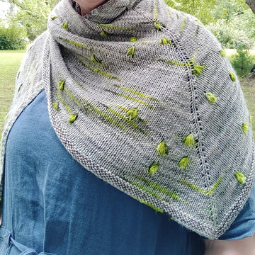 Assignment Shawl