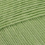 Baby Lime (201)