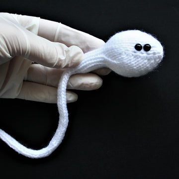 Human Sperm