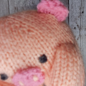 Pig in a blanket