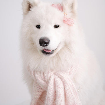 Sweetheart Infinity Scarf
