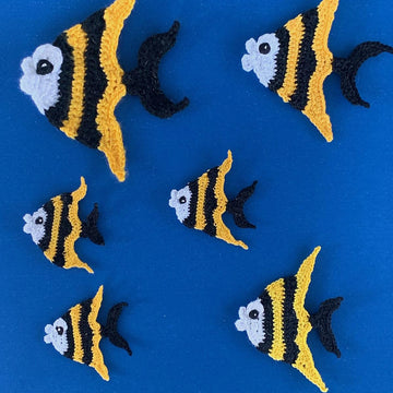 Angelfish