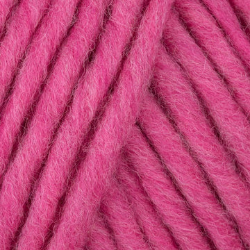 Fuchsia (03)