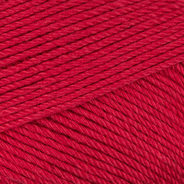 Cardinal (031)