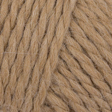 Camel (2691)