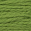 Kiwi (7009)