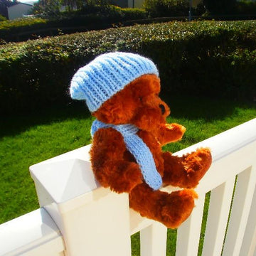 Teddy Needs Hats and Scarves