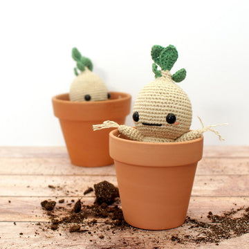 Mandrake