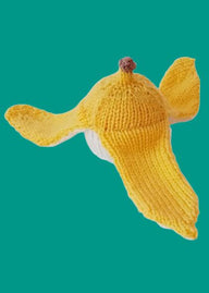Banana Skin Chocolate Orange Cosy