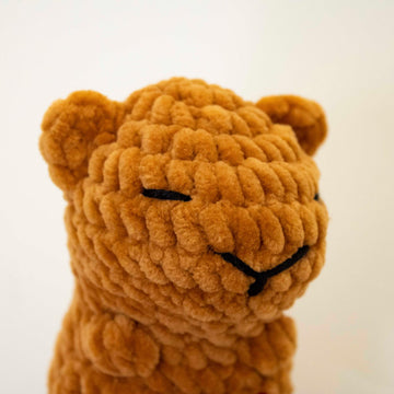 Small Capybara