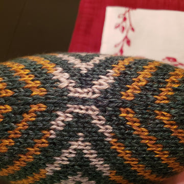 School Spirit pillow