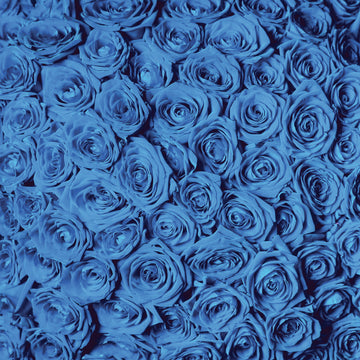 Reminisce Wildflower Double-Sided Cardstock 12"X12" 25/Pkg - Beautiful Blue Flowers