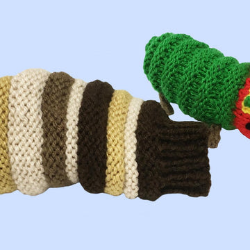 Caterpillars, butterfly, cocoon and food