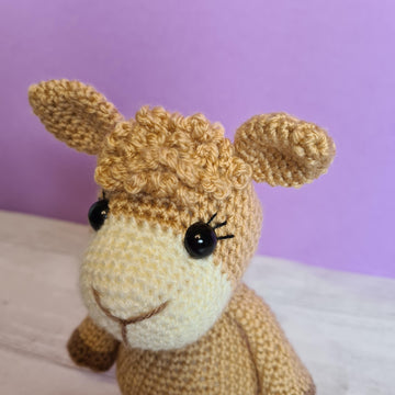 Sweet little Alpaca