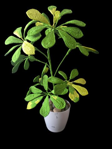 Crochet Schefflera plant