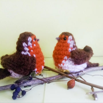 European Robin