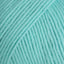 Mint (00067)